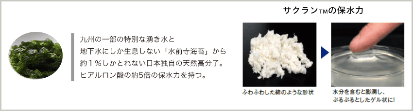 サクランTMの説明