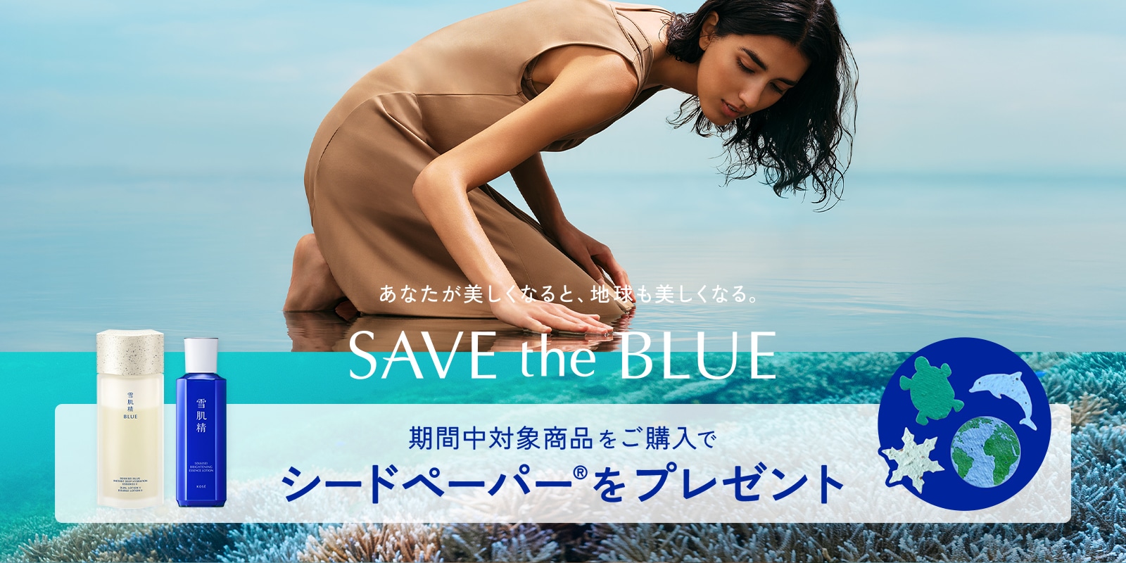 STB シードペーパープレゼントCP